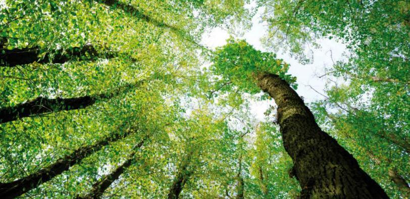 Grantom EBRD-a Zenica uključena u Green City action plan