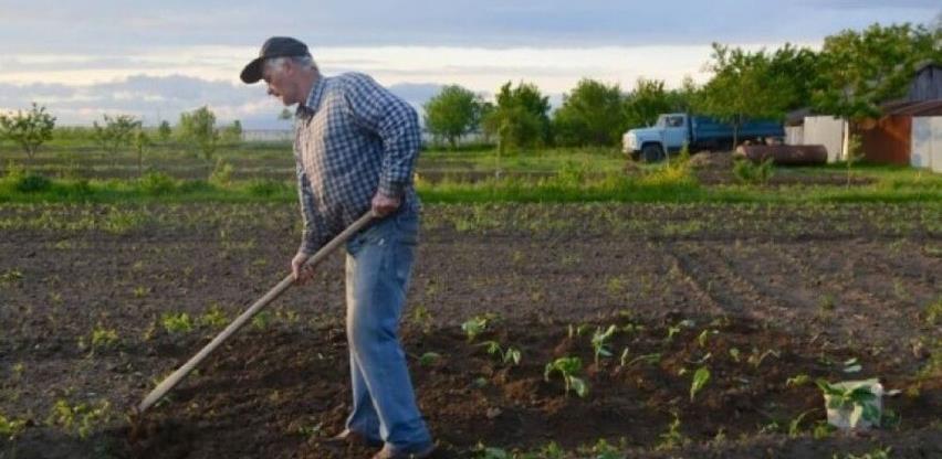 Iskoristiti krizu kao šansu: Apel INZ poljoprivrednim proizvođačima u BiH