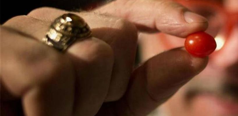 U Izraelu uzgojili najmanji paradajz na svijetu
