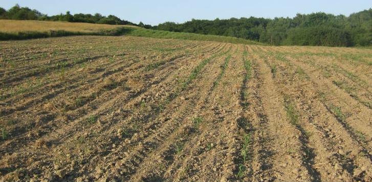 Za investitore besplatno zemljište u Tesliću