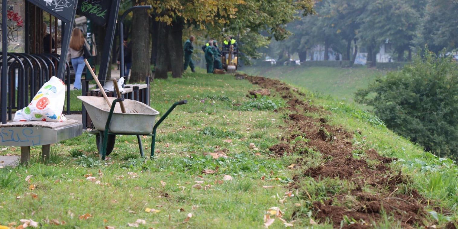 Vilsonovo šetalište