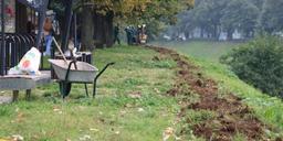 Vilsonovo šetalište