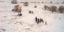 Livno