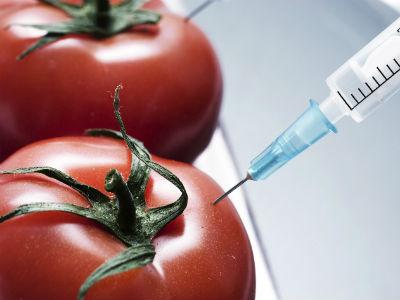 Hrvatska: Zabranjena upotreba genetski modifikovanog sjemena 