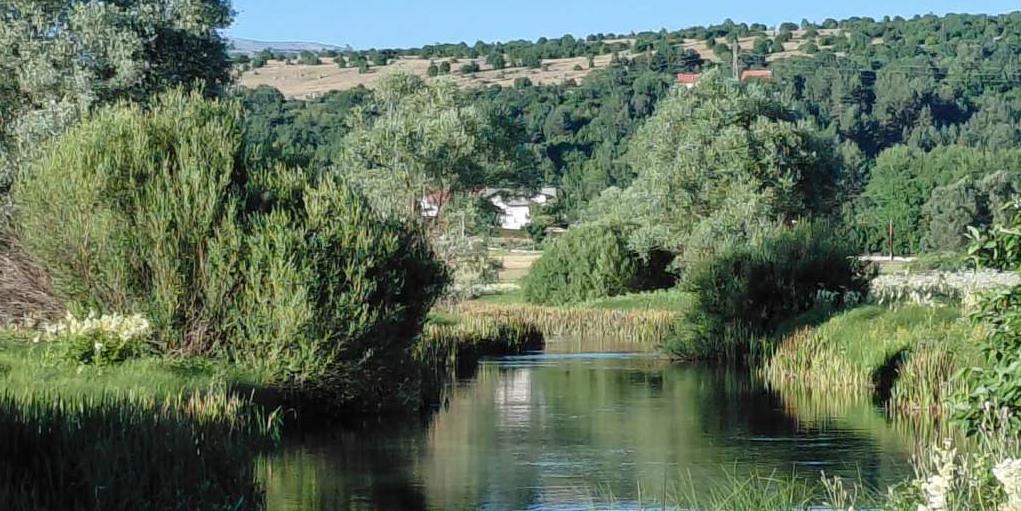 livno