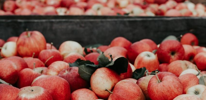 Firma iz Šamca dobila zeleno svjetlo za izvoz sadnica voća: Rusko tržište odskočna daska