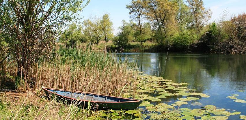 U Hutovu blatu prepolovio se broj turista, ali se priroda obnovila