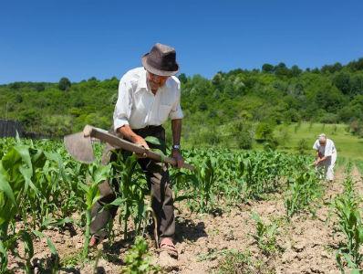 Poljoprivrednim proizvođačima iz RS-a uplaćeno 5 miliona KM podsticaja