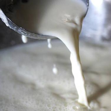 Predavanja o aflatoksinu u općini Sapna