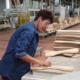 Info dan o promociji izvoza drvnog sektora za 2014/2015 u Sarajevu 11. juna