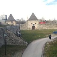 Slika