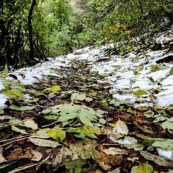 Stanovnici Lukomira spremni za povratak u niža područja