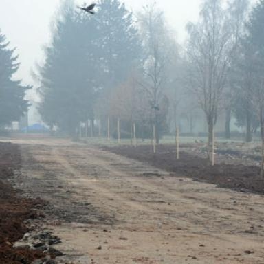 Nova stabla i zelenilo u centru "Safet Zajko"