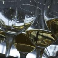 Utvrđen Nacrt Zakona o vinu