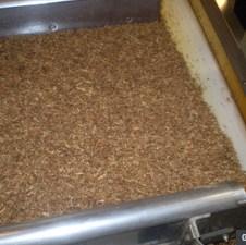 Ugrožena proizvodnja duhana u Bosni i Hercegovini