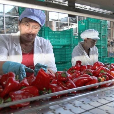 Kriza produbila ekonomski danak