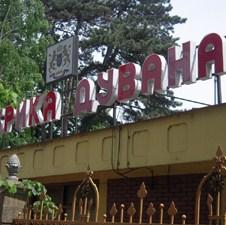 Slika