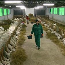 Povećano interesovanje za investiranje u Srebrenicu