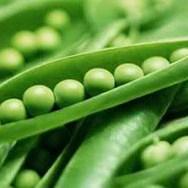 BiH prva u svijetu pokreće proizvodnju goriva iz graška?