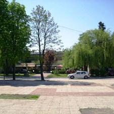 Slika