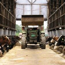 FARMA projekt: Kvalitetnijom hranom životinja do većih količina mlijeka