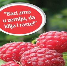 Caritas Switzerland i LOK MKF zasadili malinjake na 280 dunuma zemlje