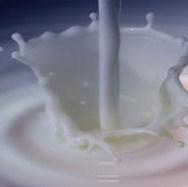 Općina Bihać i mljekara Meggle formirali revolving fond za stočarstvo