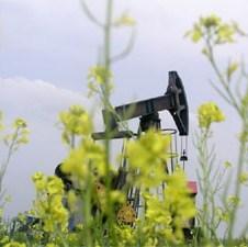 Ina kod Vinkovca pronašla naftu