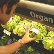 Donji Vakuf: U organskoj proizvodnji leže ogromni potencijali za razvoj ove grane poljoprivrede