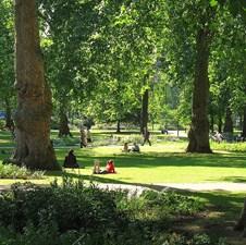 Mercator BH podržava ozelenjavanje Živinica