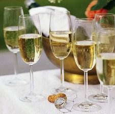 Uručeni certifikati za 17 sommeliera