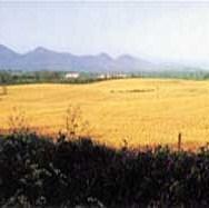 Branković-Varga: Mađarska pomaže razvitku poljoprivrede u BiH