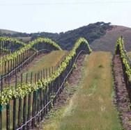 Sljedećeg mjeseca pilot-popis poljoprivrednih gazdinstava u RS i FBiH