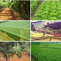 Višegrad: 150.000 KM za razvoj poljoprivrede i sela