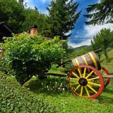 Raspisani javni pozivi koji će unaprijediti turizam u FBiH