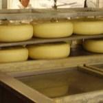 U Nevesinju se realizuje projekat "Zaštita i valorizacija tradicionalnih poljoprivrednih proizvoda": Podrška proizvodnji tradicionalnog sira