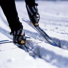 Travnik: Pet kompanija u trci za izgradnju staze za nordijsko trčanje na Vlašiću