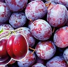 Otvoren Sajam šljive u Gradačcu