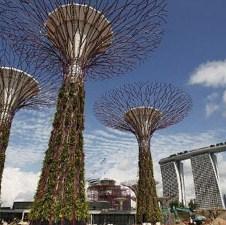 U vrtu "Bay South": Spektakularna solarna super-drveća