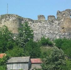 Slika