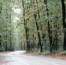 Vlast u pet do 12 spašava najveći prirodni resurs u FBiH