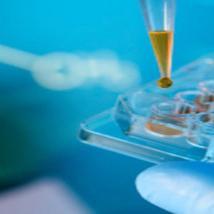 Verlab predstavlja stručni/naučni članak o biomedicinskom inžinjeringu