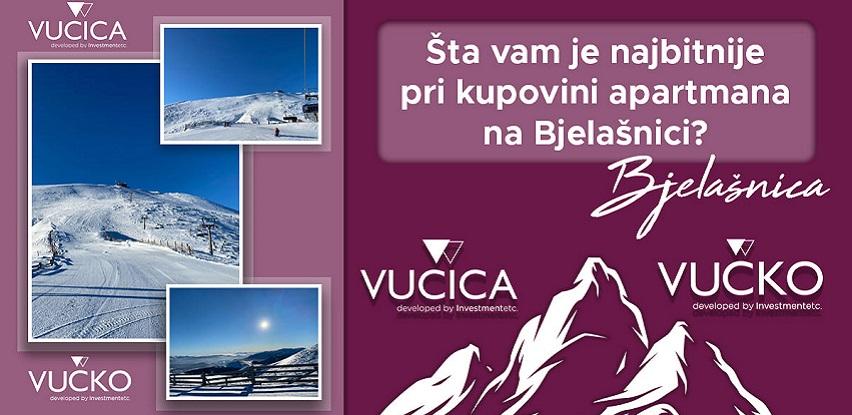 vučko vučica gallery bjelašnica apartmani