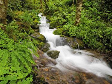 ACO Clara: ACO-v odgovor na veliki broj specifičnih situacija