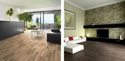 Conty plus laminati