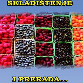 Heko: Skladištenje i prerada jagodastog voća, šumskih plodova i gljiva