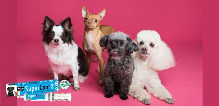 SuperCoat za pse 