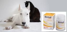 Candioli Renal COMBI