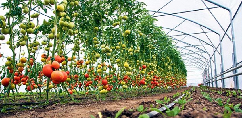 itc zenica plastenici mini plastenici organska proizvodnja plastenička proizvodnja