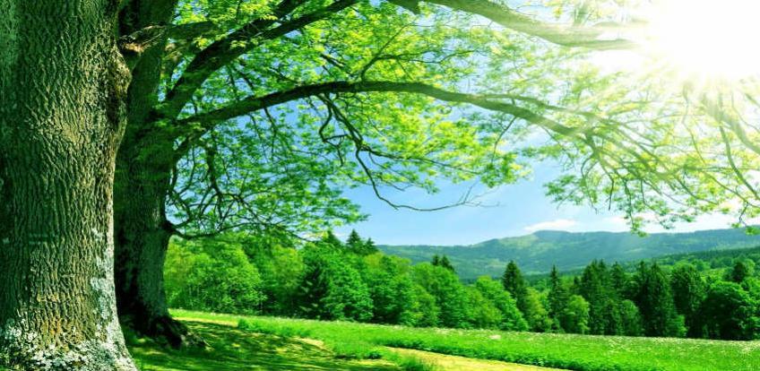 Kemis - BH Lukavac: Jer nam nije svejedno…